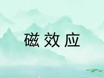 磁效应