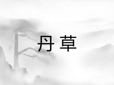 丹草