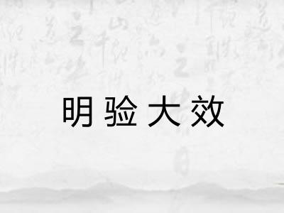 明验大效