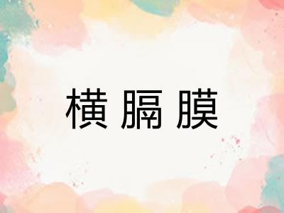 横膈膜