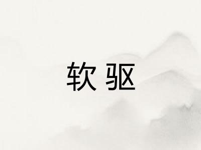 软驱