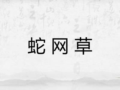 蛇网草