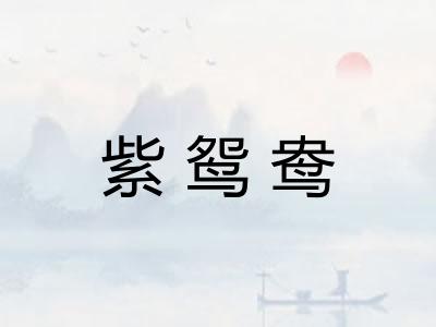 紫鸳鸯
