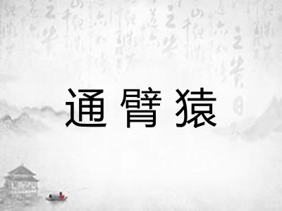通臂猿