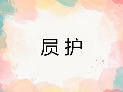 屃护