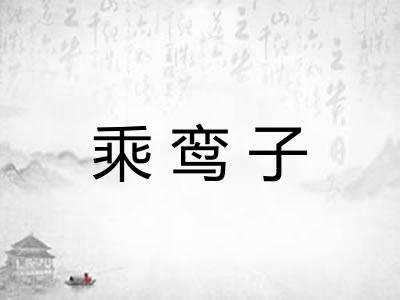 乘鸾子
