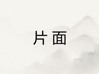 片面