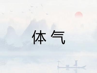 体气