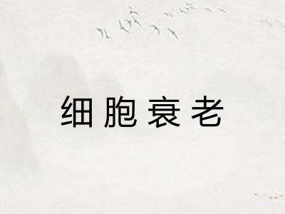 细胞衰老