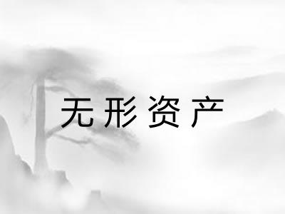 无形资产