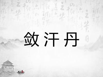 敛汗丹
