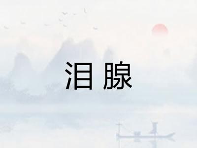 泪腺