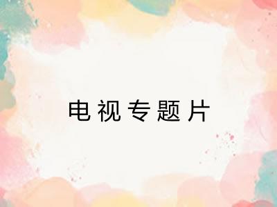 电视专题片
