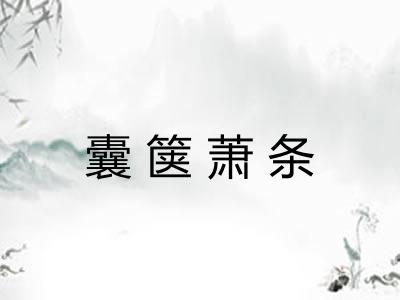 囊箧萧条