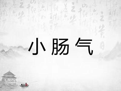 小肠气