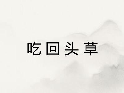 吃回头草