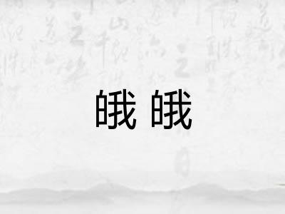皒皒