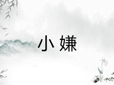 小嫌