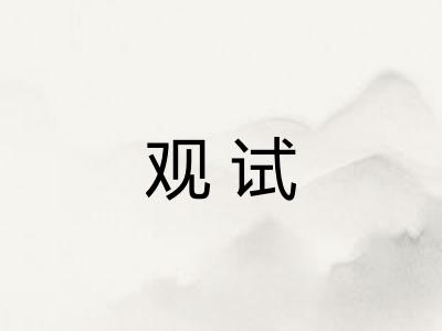 观试