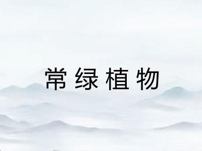 常绿植物