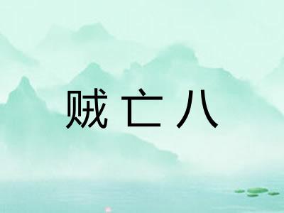 贼亡八