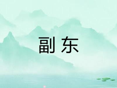 副东