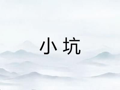 小坑