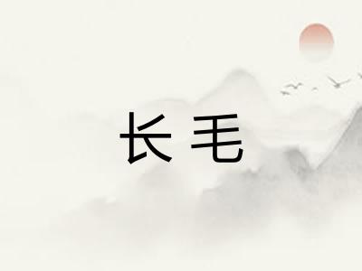 长毛
