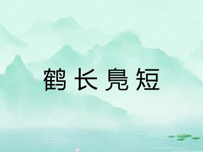 鹤长鳬短