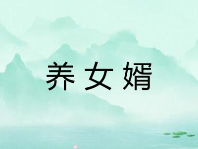 养女婿