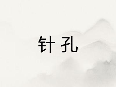 针孔