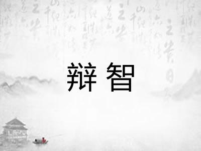 辩智