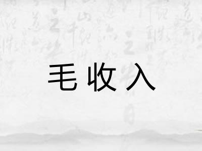 毛收入