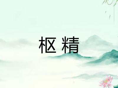 枢精