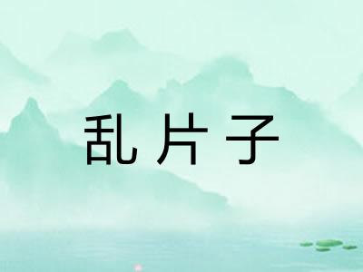 乱片子