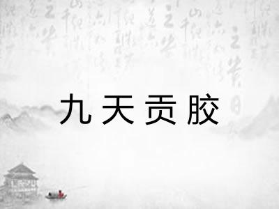 九天贡胶
