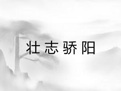 壮志骄阳