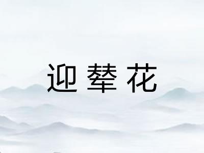 迎辇花