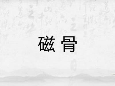 磁骨