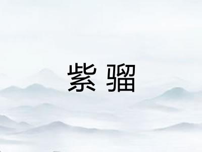紫骝
