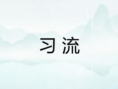 习流