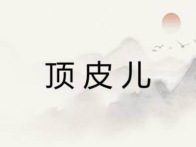 顶皮儿