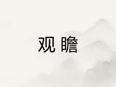 观瞻