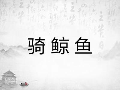 骑鲸鱼