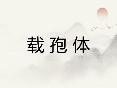 载孢体