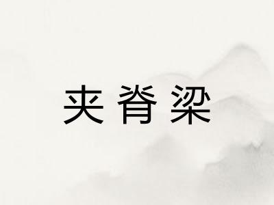夹脊梁