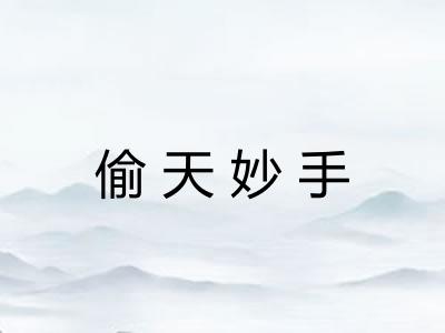 偷天妙手
