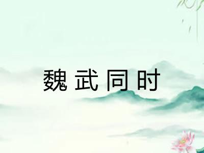 魏武同时