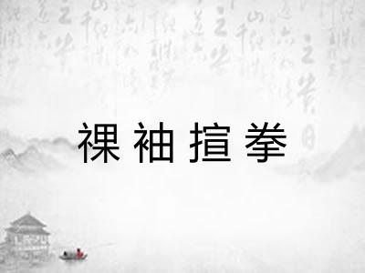 祼袖揎拳