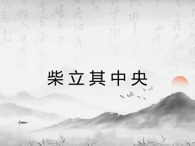 柴立其中央 柴立其中央